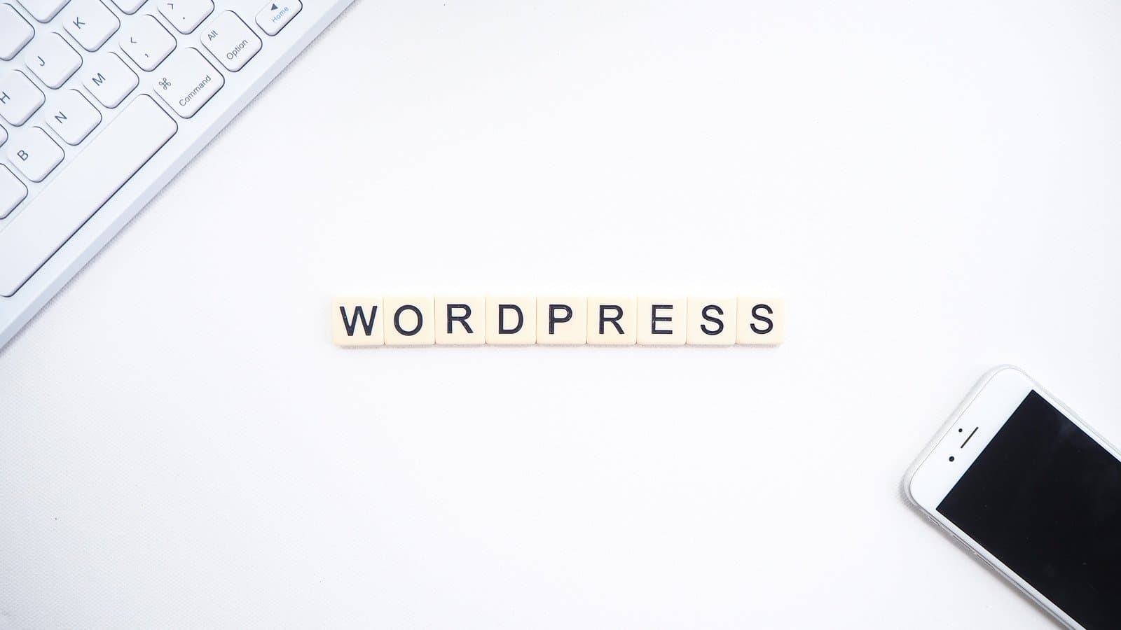 Why Next.js and WordPress Are the Perfect Combination for Web Development